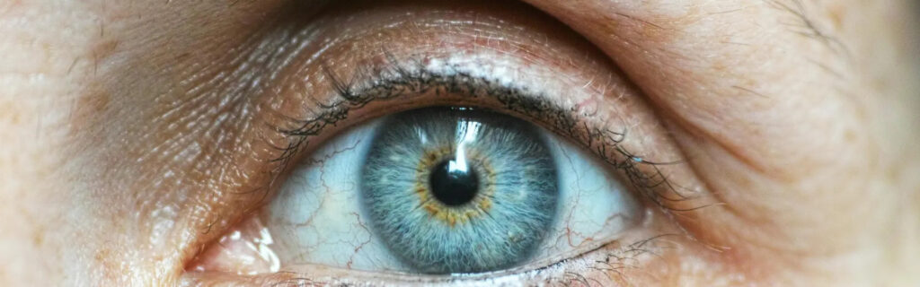 eye floaters and flashes treatment calgary